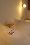 Hotel Ronce 